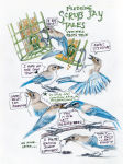 Alternative view 5 of The Backyard Bird Chronicles (2024 B&N Gift Book of the Year)